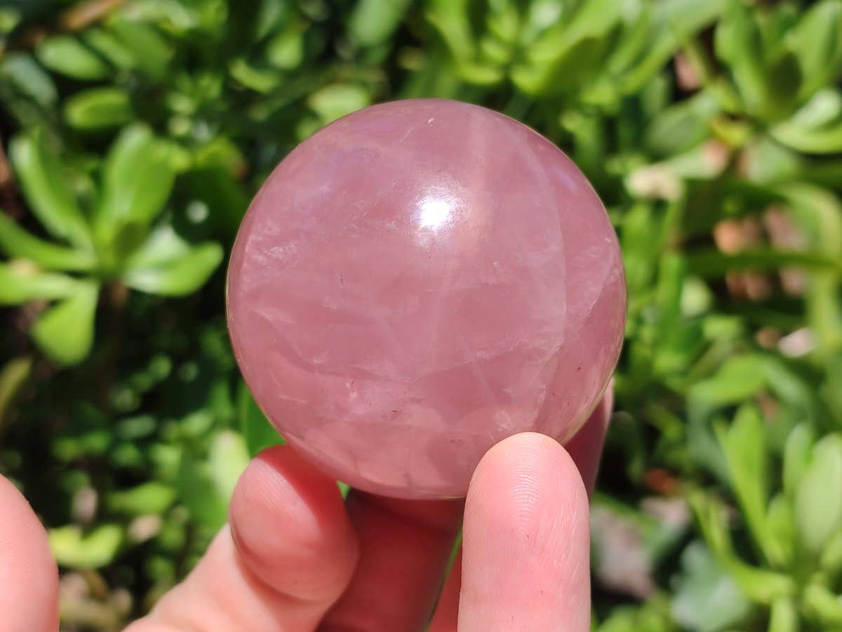 Polished Gemmy Star Rose Quartz Spheres x 5 From Madagascar