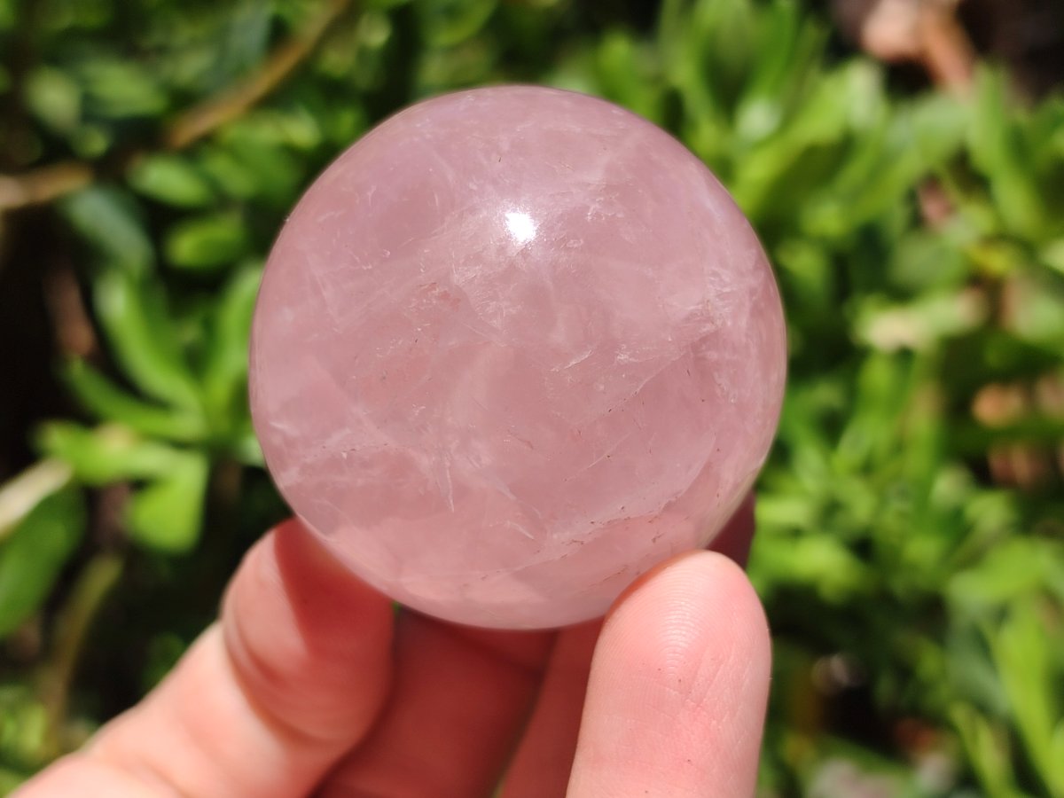 Polished Gemmy Star Rose Quartz Spheres x 5 From Madagascar