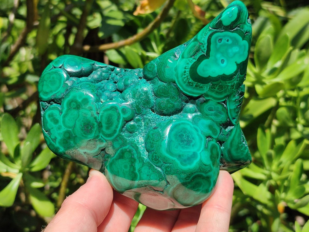 Polished Flower Banded Malachite Free Forms x 3 From Congo