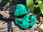Polished Flower Banded Malachite Free Forms x 3 From Congo