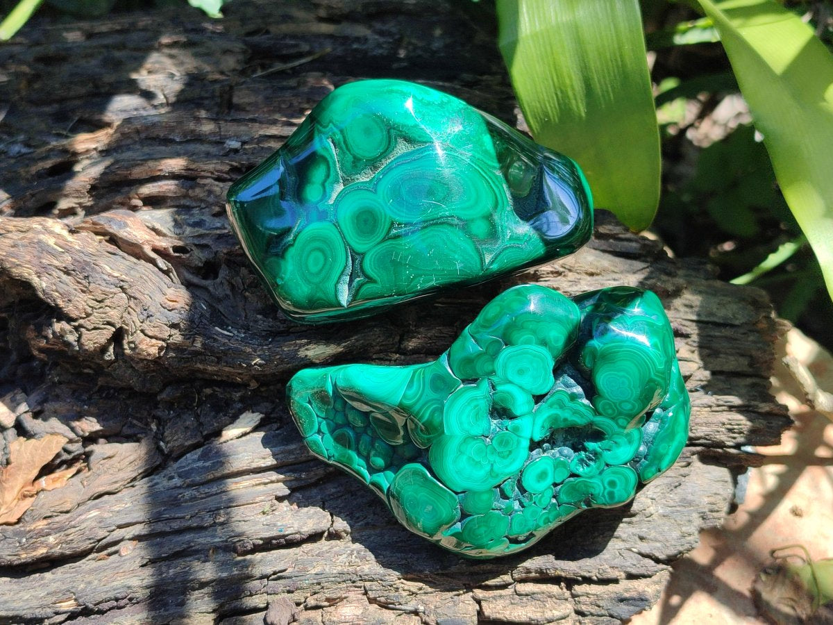 Polished Flower Banded Malachite Free Forms x 3 From Congo
