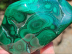 Polished Flower Banded Malachite Free Forms x 3 From Congo