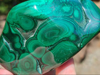 Polished Flower Banded Malachite Free Forms x 3 From Congo