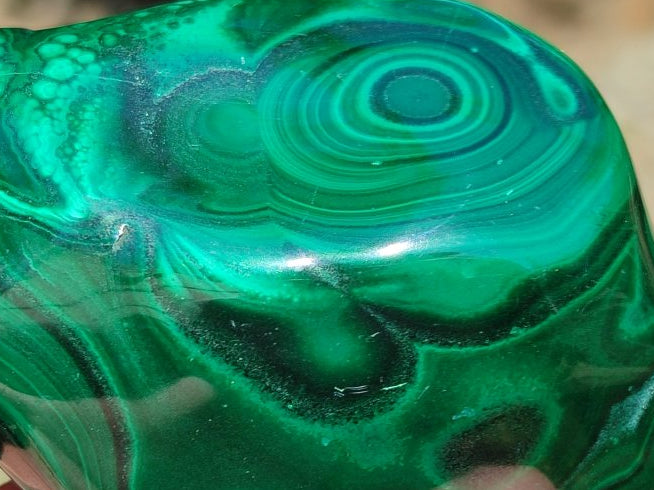 Polished Flower Banded Malachite Free Forms x 3 From Congo
