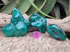 Polished Flower Banded Malachite Free Forms x 3 From Congo