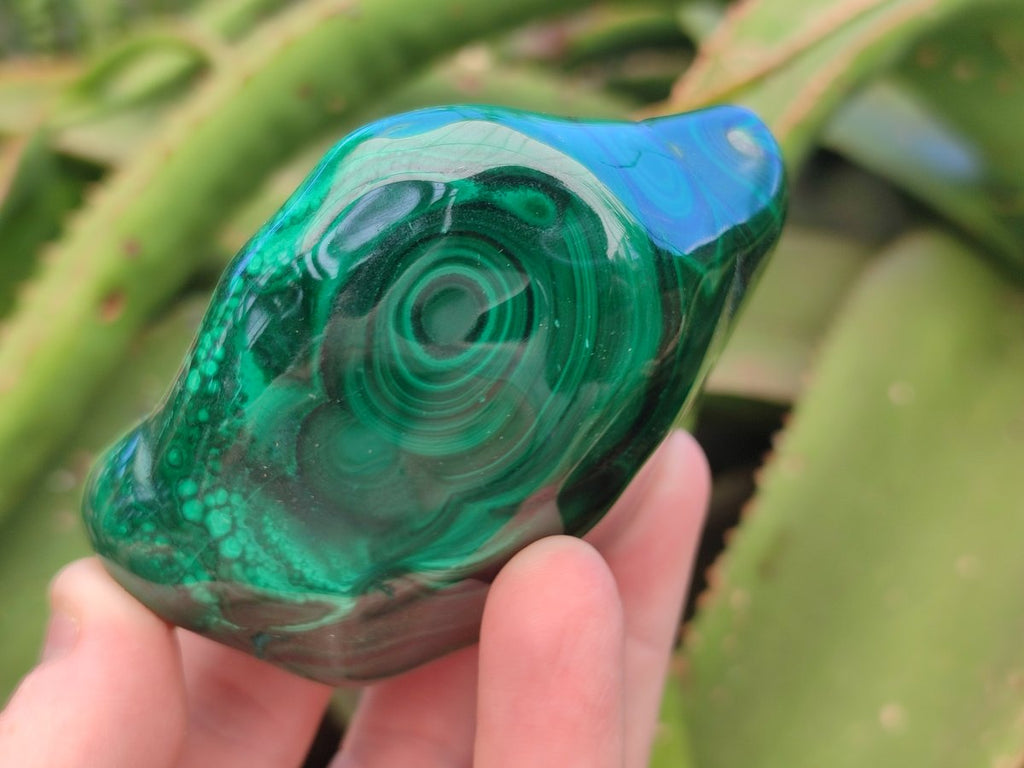 Polished Flower Banded Malachite Free Forms x 3 From Congo