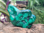 Polished Flower Banded Malachite Free Forms x 3 From Congo