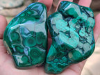 Polished Flower Banded Malachite Free Forms x 3 From Congo