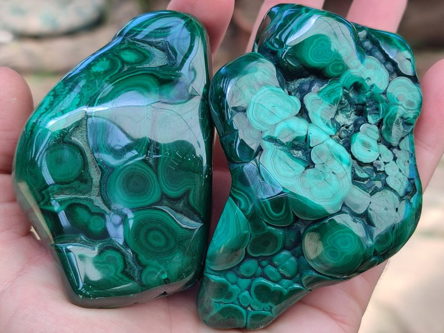 Polished Flower Banded Malachite Free Forms x 3 From Congo
