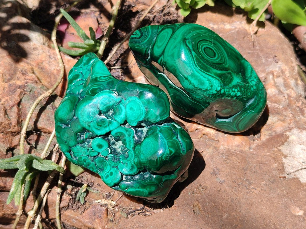 Polished Flower Banded Malachite Free Forms x 3 From Congo