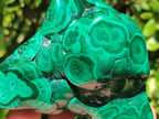 Polished Flower Banded Malachite Free Forms x 3 From Congo