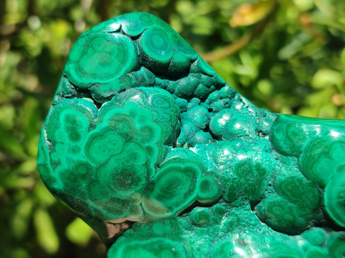 Polished Flower Banded Malachite Free Forms x 3 From Congo