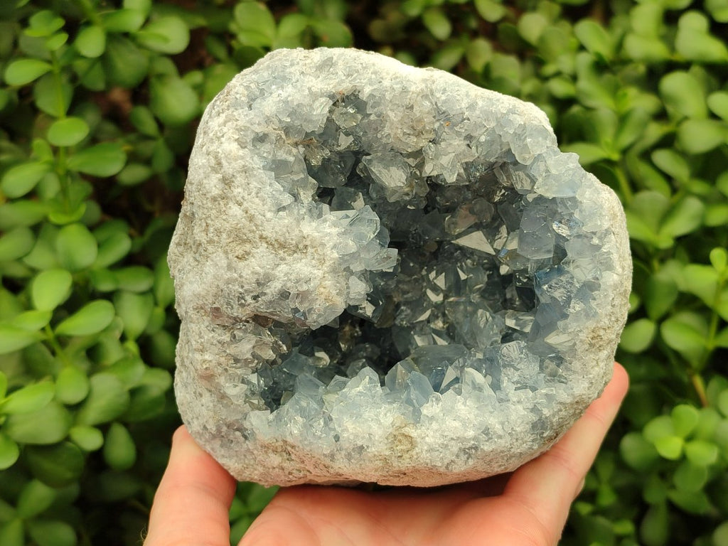 Natural XL Blue Celestite Geode Specimen x 1 From Sakoany, Madagascar