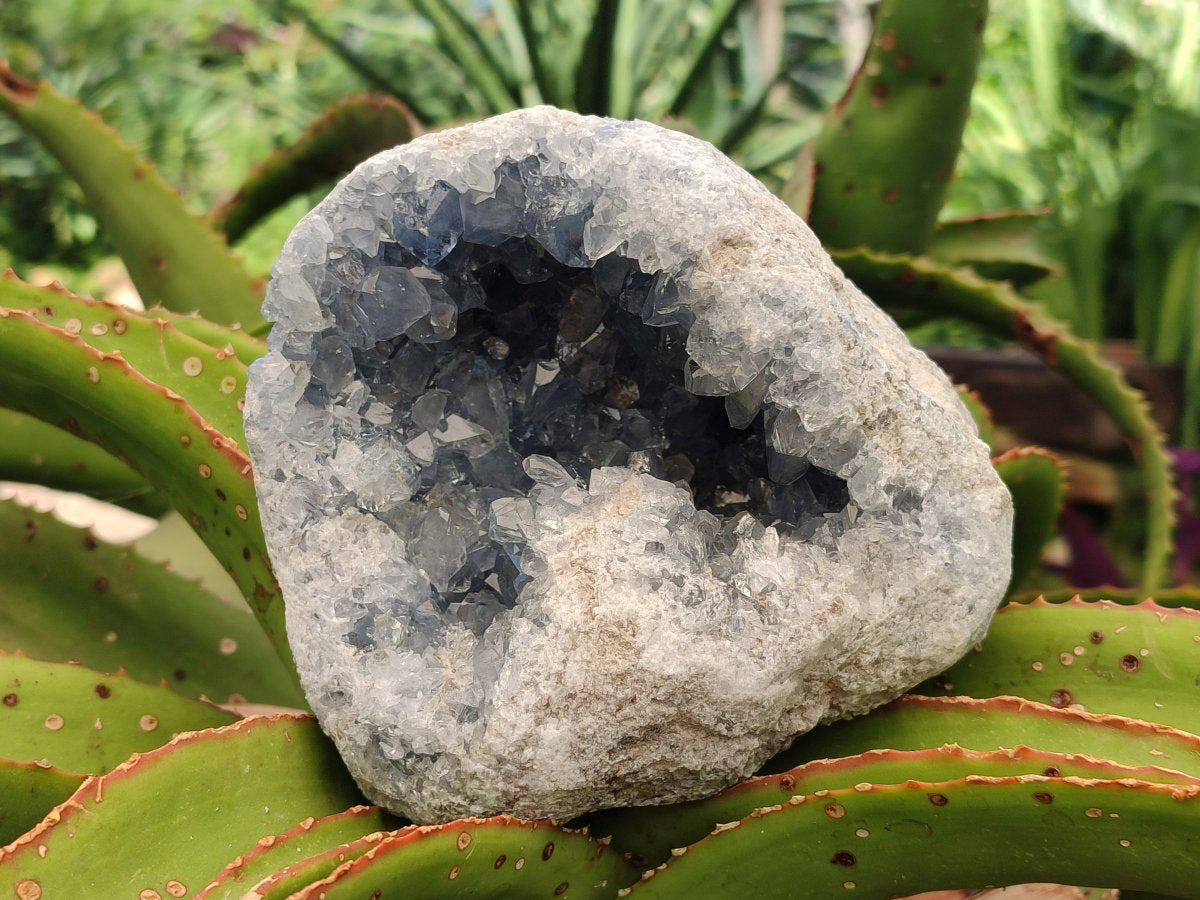 Natural XL Blue Celestite Geode Specimen x 1 From Sakoany, Madagascar