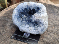Natural XL Blue Celestite Geode Specimen x 1 From Sakoany, Madagascar