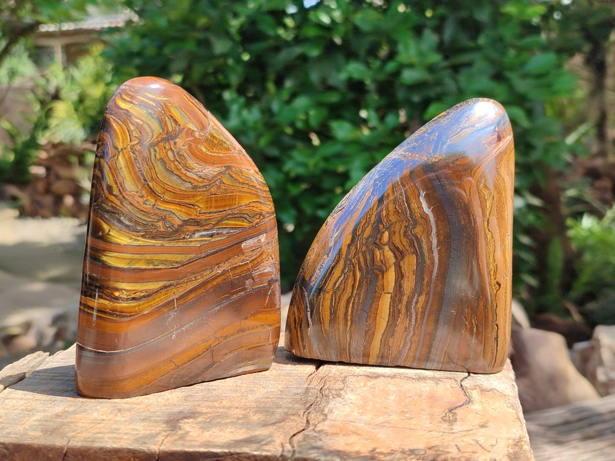 Polished Golden Tigers Eye With Banded Iron Stone Standing Free Forms x 2 From Prieska, South Africa