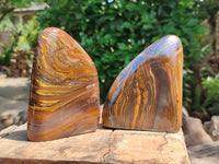 Polished Golden Tigers Eye With Banded Iron Stone Standing Free Forms x 2 From Prieska, South Africa