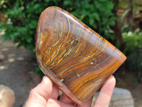 Polished Golden Tigers Eye With Banded Iron Stone Standing Free Forms x 2 From Prieska, South Africa