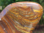 Polished Golden Tigers Eye With Banded Iron Stone Standing Free Forms x 2 From Prieska, South Africa