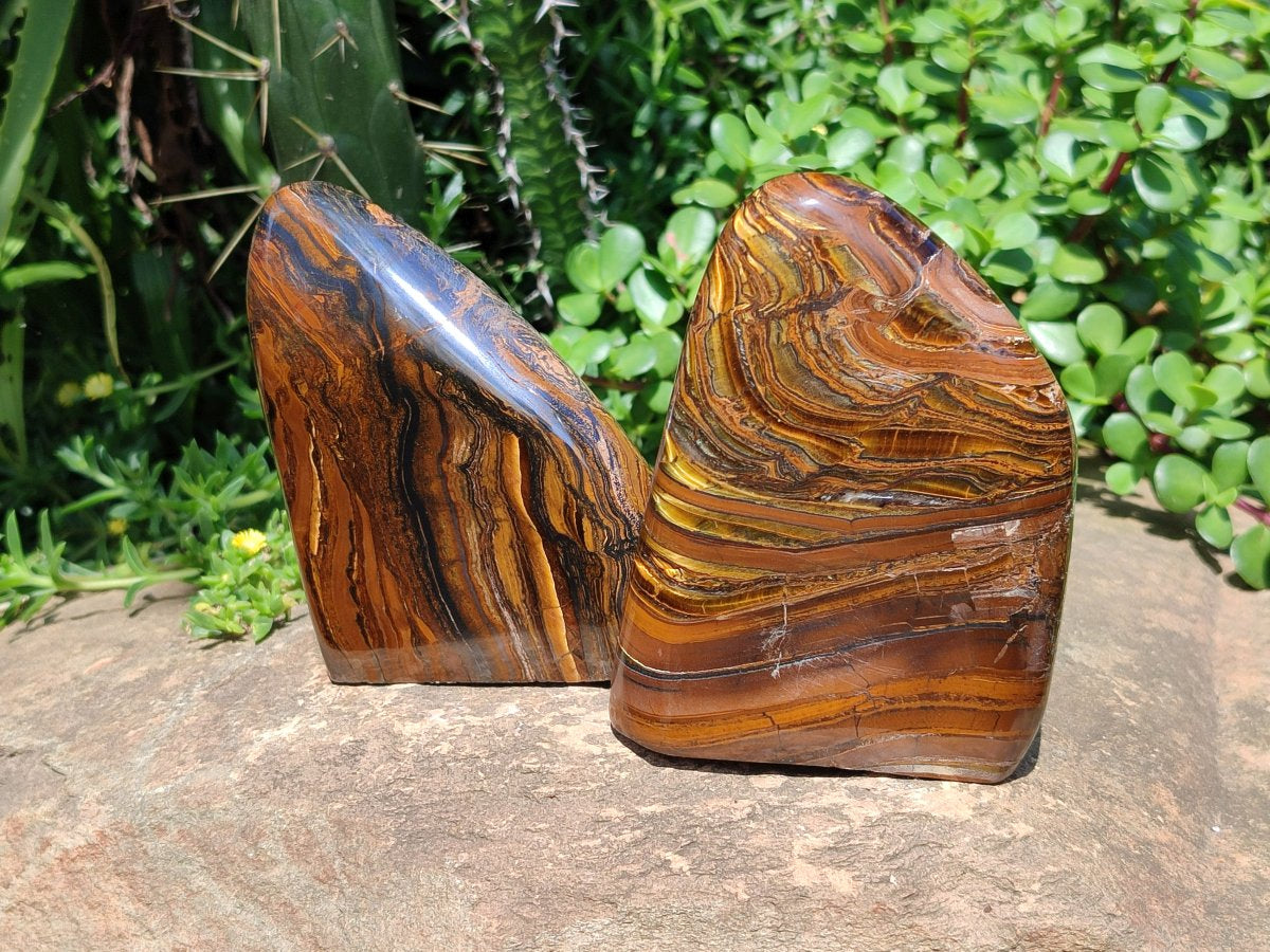 Polished Golden Tigers Eye With Banded Iron Stone Standing Free Forms x 2 From Prieska, South Africa