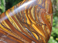 Polished Golden Tigers Eye With Banded Iron Stone Standing Free Forms x 2 From Prieska, South Africa