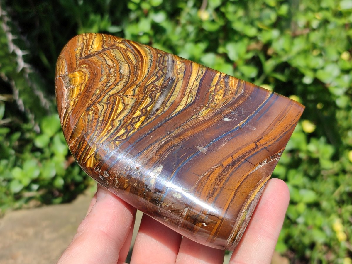 Polished Golden Tigers Eye With Banded Iron Stone Standing Free Forms x 2 From Prieska, South Africa