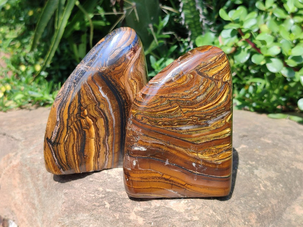 Polished Golden Tigers Eye With Banded Iron Stone Standing Free Forms x 2 From Prieska, South Africa