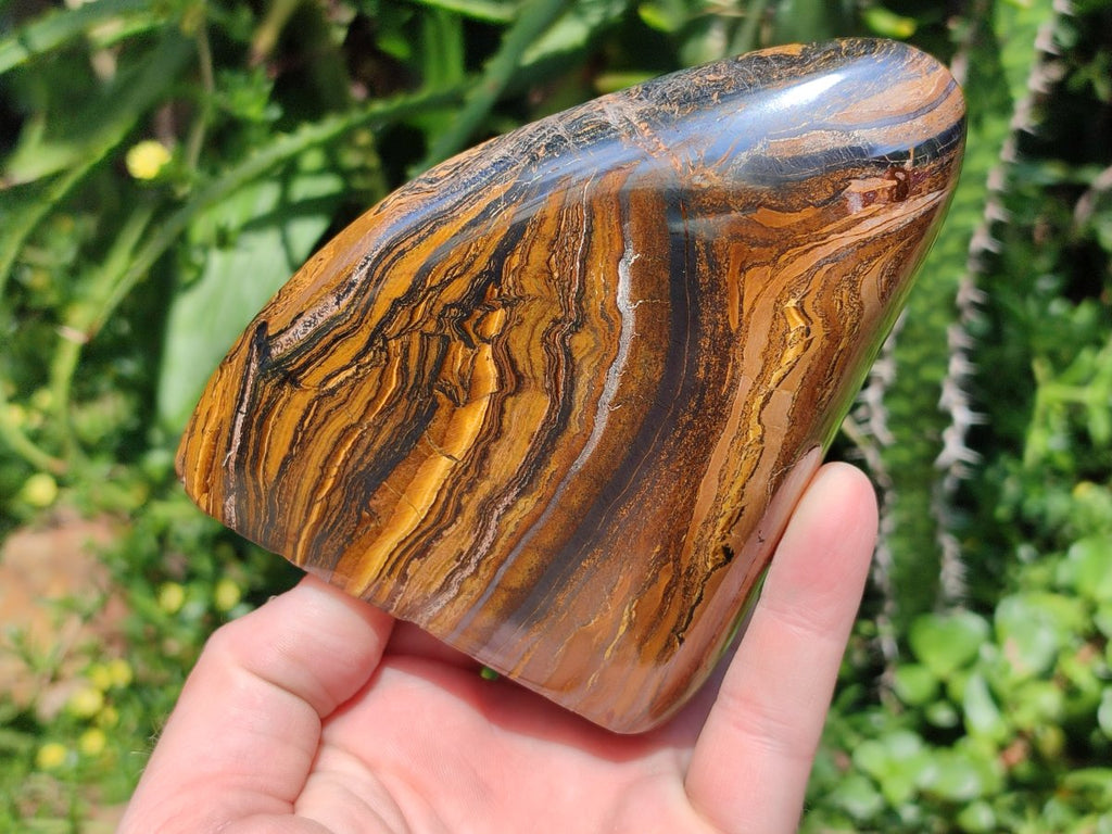 Polished Golden Tigers Eye With Banded Iron Stone Standing Free Forms x 2 From Prieska, South Africa