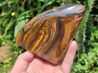 Polished Golden Tigers Eye With Banded Iron Stone Standing Free Forms x 2 From Prieska, South Africa