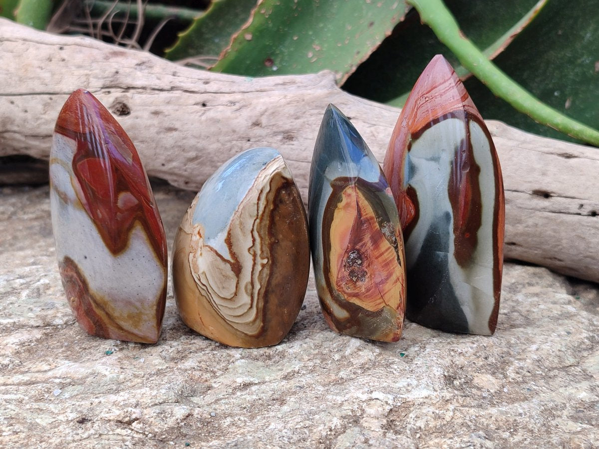 Polished Polychrome Jasper Flame x 12 From NW Coast, Madagascar