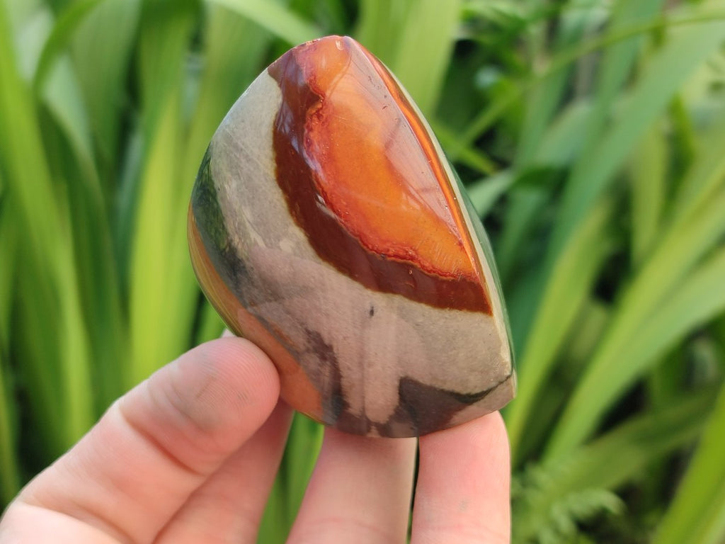 Polished Polychrome Jasper Flame x 12 From NW Coast, Madagascar