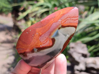 Polished Polychrome Jasper Flame x 12 From NW Coast, Madagascar