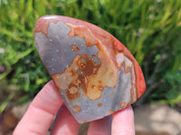 Polished Polychrome Jasper Flame x 12 From NW Coast, Madagascar