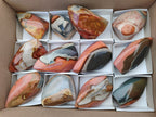 Polished Polychrome Jasper Flame x 12 From NW Coast, Madagascar