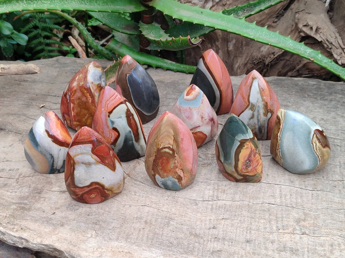 Polished Polychrome Jasper Flame x 12 From NW Coast, Madagascar