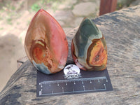 Polished Polychrome Jasper Flame x 12 From NW Coast, Madagascar