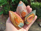 Polished Polychrome Jasper Flame x 12 From NW Coast, Madagascar