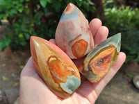 Polished Polychrome Jasper Flame x 12 From NW Coast, Madagascar