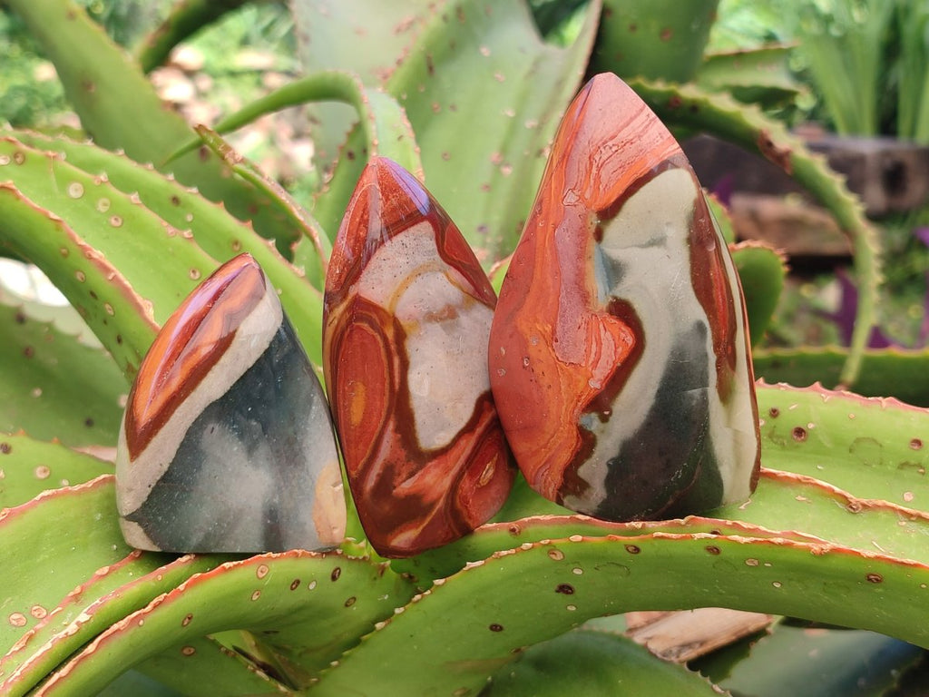 Polished Polychrome Jasper Flame x 12 From NW Coast, Madagascar