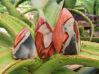 Polished Polychrome Jasper Flame x 12 From NW Coast, Madagascar