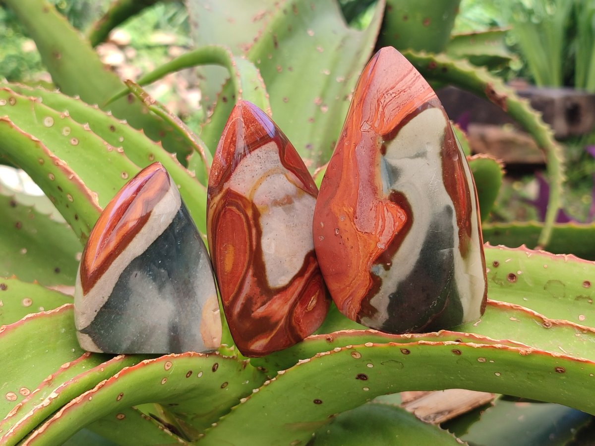 Polished Polychrome Jasper Flame x 12 From NW Coast, Madagascar