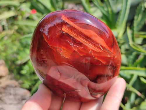 Polished Carnelian Agate Gemstone Standing Free Forms x 2 From Madagascar - Toprock Gemstones and Minerals 