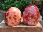 Polished Carnelian Agate Gemstone Standing Free Forms x 2 From Madagascar