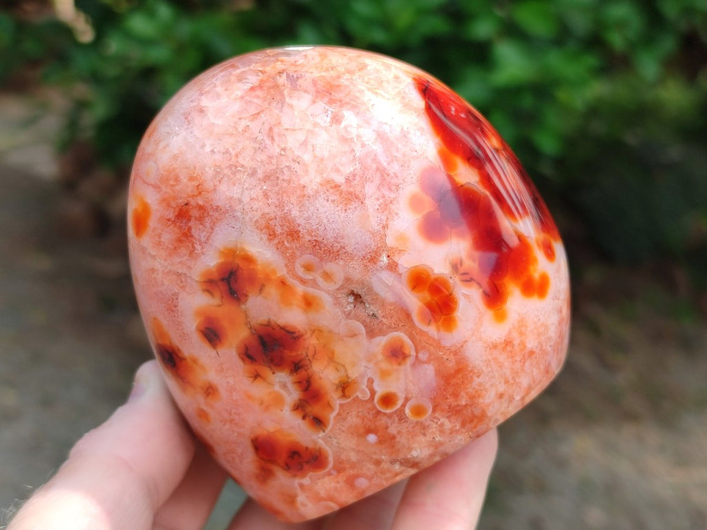 Polished Carnelian Agate Gemstone Standing Free Forms x 2 From Madagascar