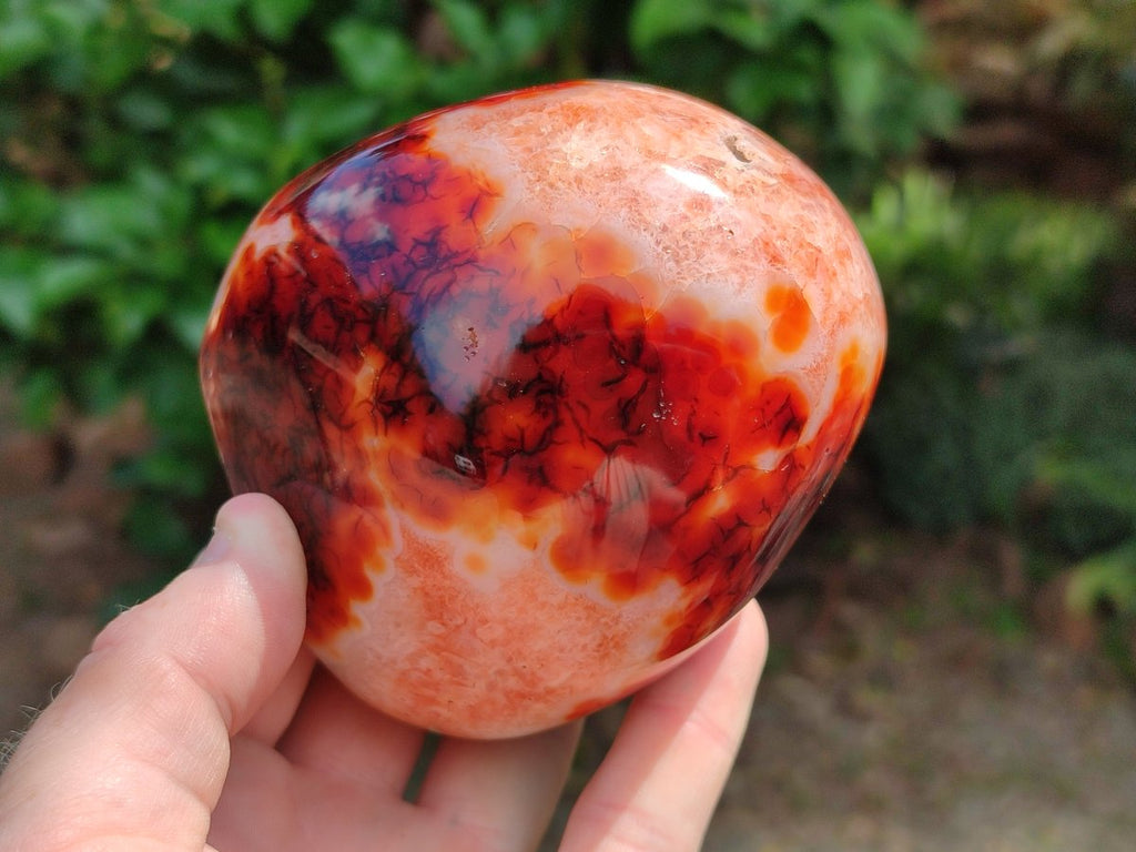 Polished Carnelian Agate Gemstone Standing Free Forms x 2 From Madagascar