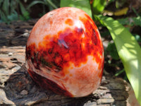 Polished Carnelian Agate Gemstone Standing Free Forms x 2 From Madagascar