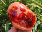 Polished Carnelian Agate Gemstone Standing Free Forms x 2 From Madagascar