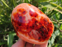 Polished Carnelian Agate Gemstone Standing Free Forms x 2 From Madagascar