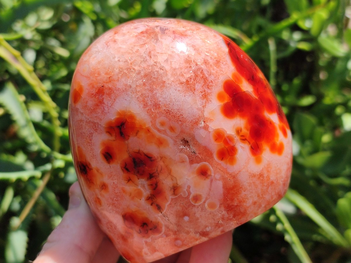 Polished Carnelian Agate Gemstone Standing Free Forms x 2 From Madagascar