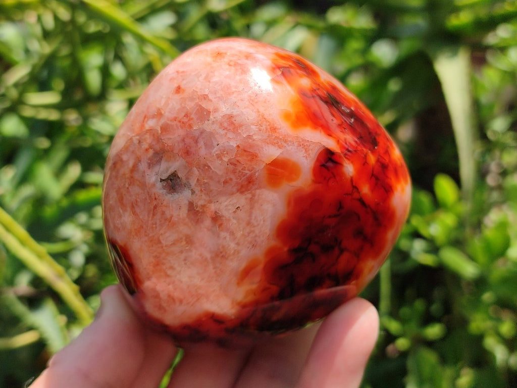 Polished Carnelian Agate Gemstone Standing Free Forms x 2 From Madagascar